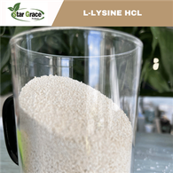 L-lizin monohidroklorid 98,5%