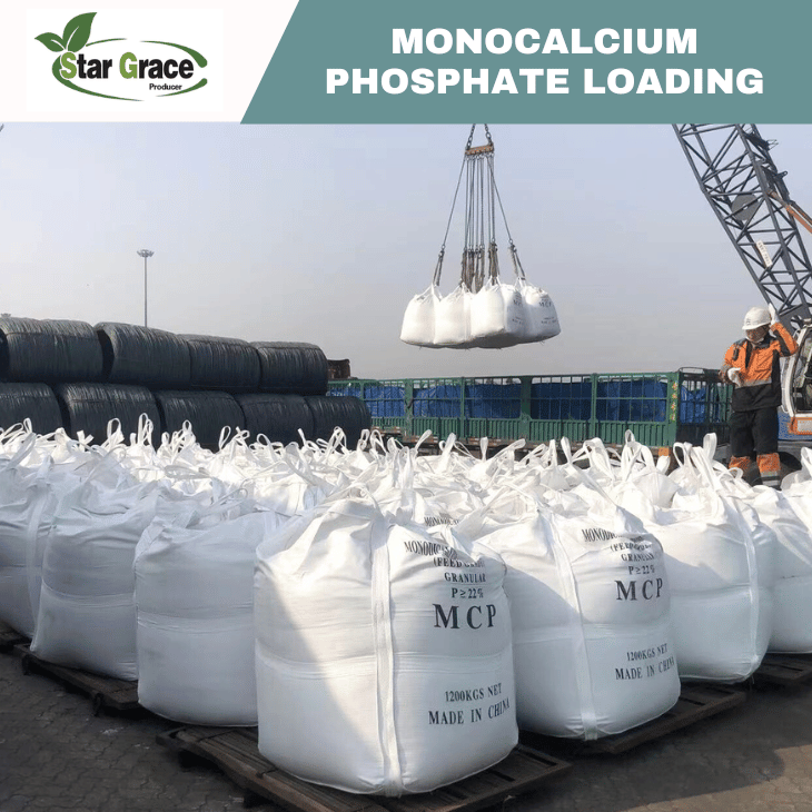 Monocalcium Phosphate in Poultry Feed