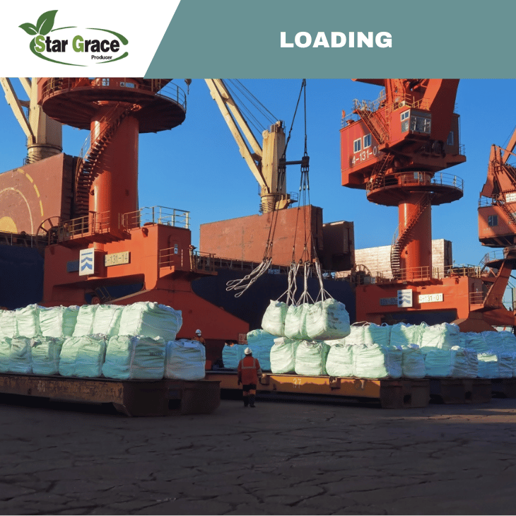 Calcium Ammonium Nitrate