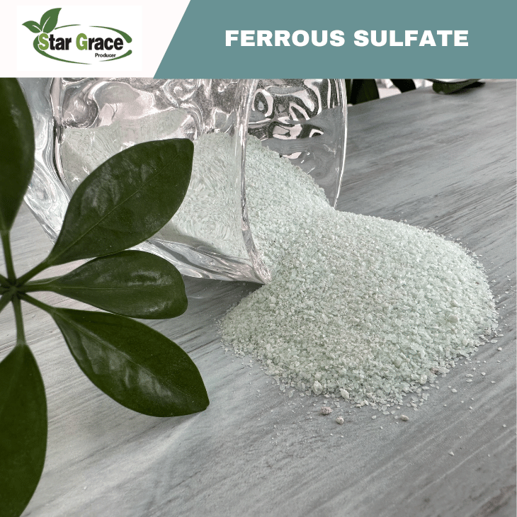Ferrous Sulphate Monohydrate (Feed Grade)