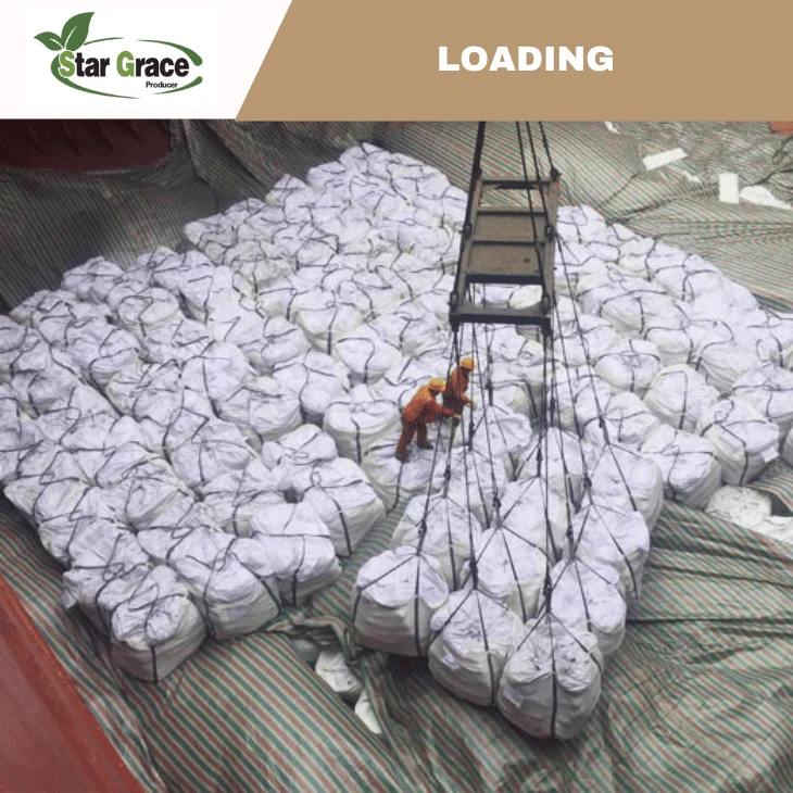 L-Lysine HCL 98.5% Feed Grade