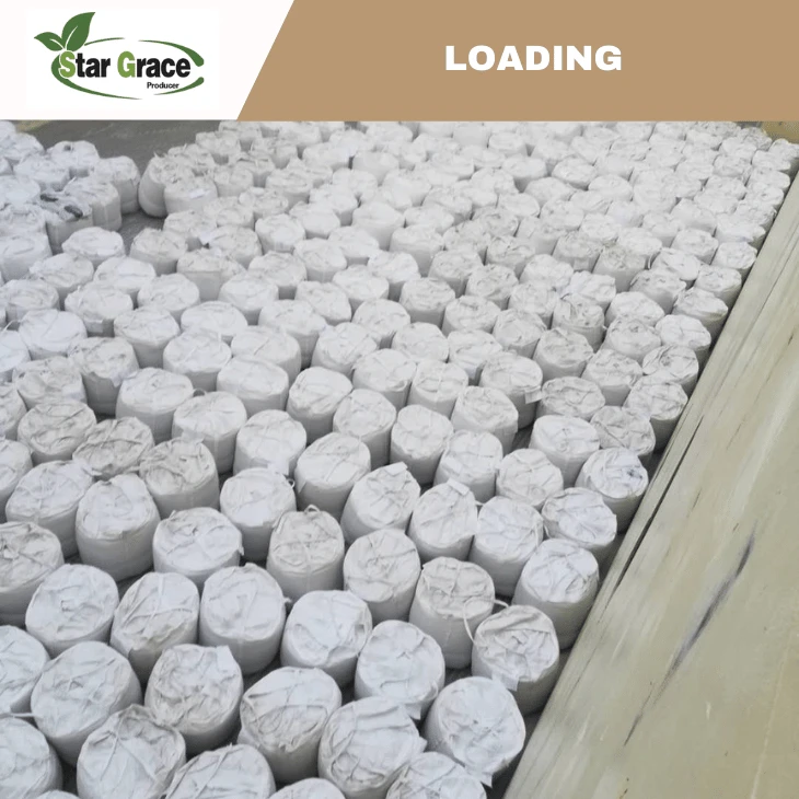 L-Lysine HCL 98.5% Feed Grade