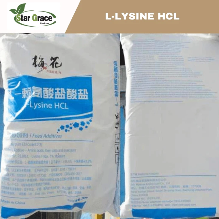 L-Lysine HCL 98.5% Feed Grade