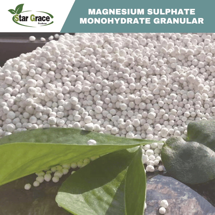 Magnesium Sulfate Monohydrate MgSO4·H2O Granular