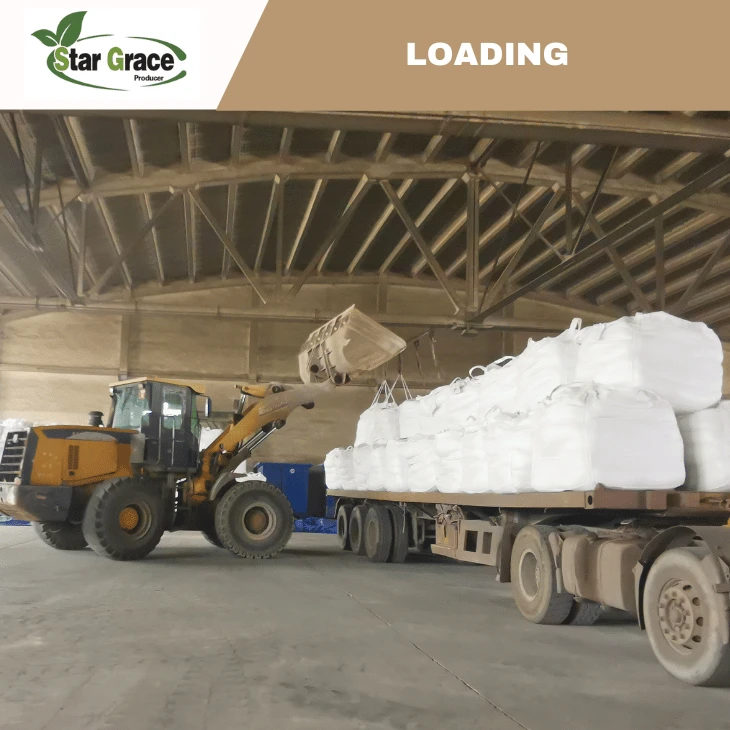 Mono Dicalcium Phosphate(MDCP) Used in Food Additive