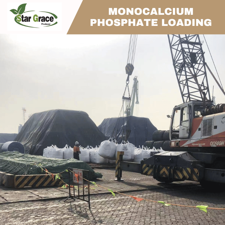 Monocalcium Phosphate（MCP) Used for Suckling Pig