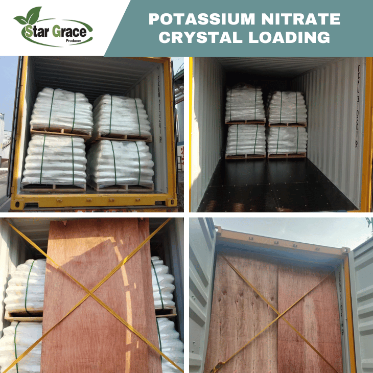 Potassium Nitrate Bunnings