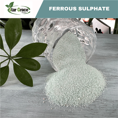 Željezni sulfat monohidrat (feed Grade)